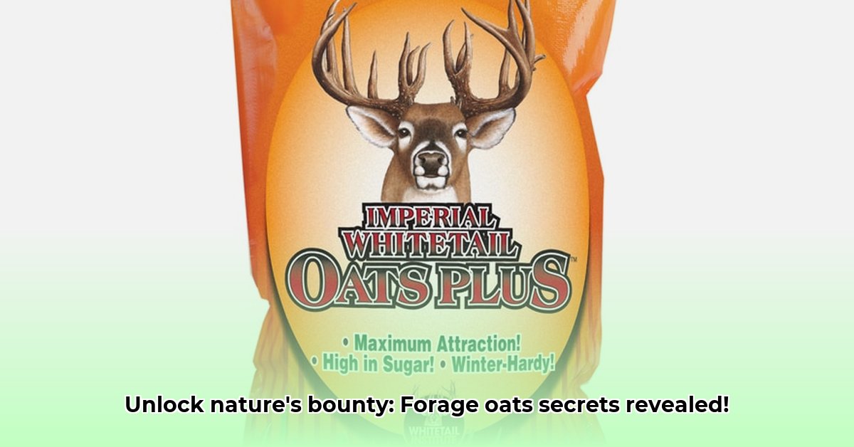 forage-oats-tractor-supply